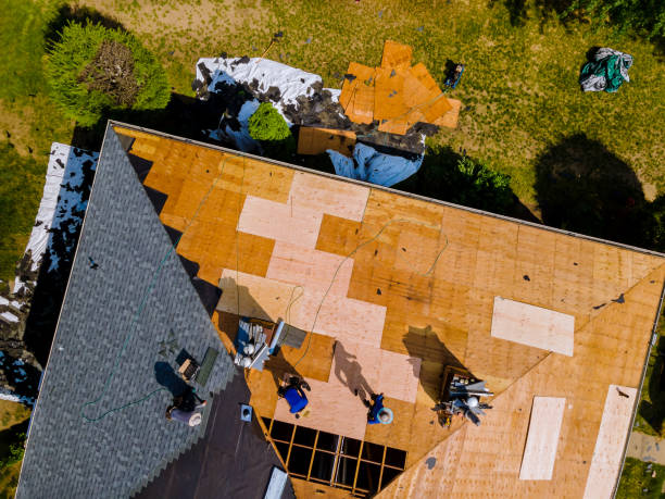 Best Roof Gutter Cleaning  in Barclay, NJ