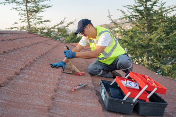 Best Local Roofing Companies  in Barclay, NJ